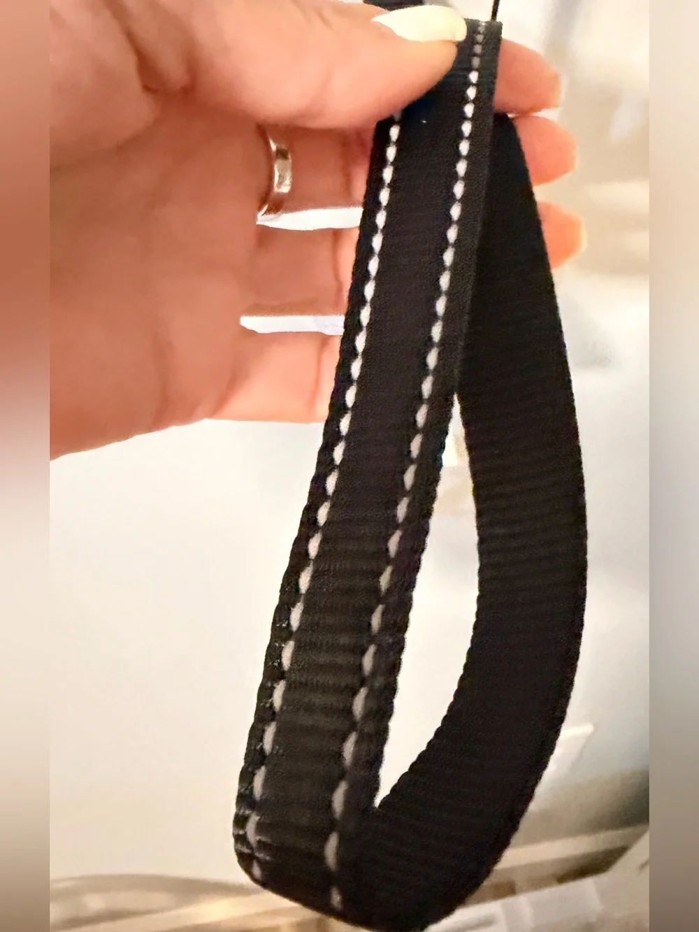 Martha Stewart Nylon Dog Leash with reflective stitching NWT